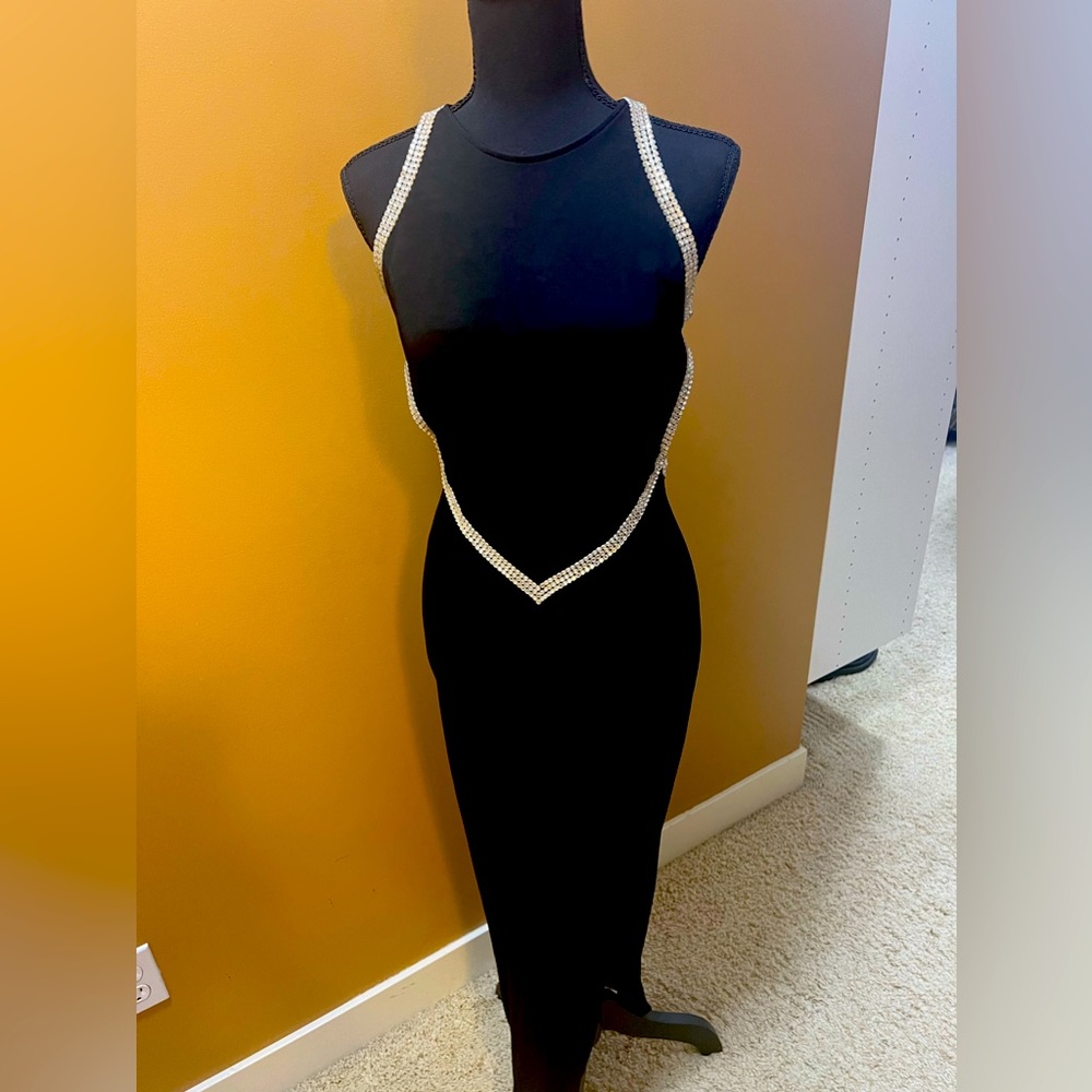 Stunning Cache luxury dress for any special occasion.